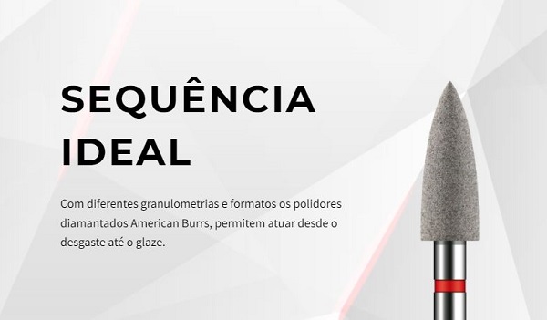  Informações gerais do Polidor Diamantado Durapol CA da American Burrs 
