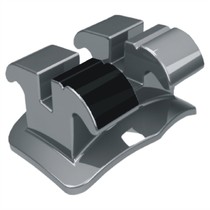 Reposição Roth Standard 0,022" - Canino Inferior Direito Dente 43 - 10.10.212 - Morelli