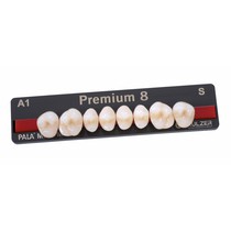 Dente Premium Posterior Superior - Kulzer