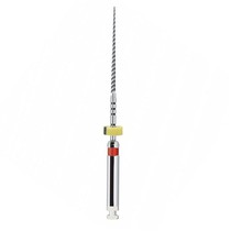 Lima Rotatória Profile Maillefer - Dentsply Sirona