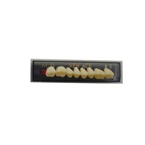 Dente New Ace Posterior Superior Yamahachi - Kota