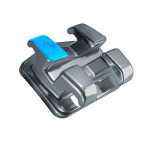 Reposição Roth Light 0,018" - Incisal Central Sup Direito Dente 11 - 10.10.300 - Morelli