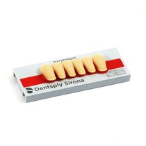 Dente Biotone Anterior Inferior 3N 67 - Dentsply Sirona