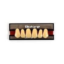 Dente Biotone Anterior Superior 2D 69 - Dentsply Sirona