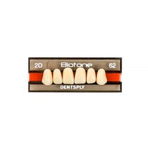 Dente Biotone Anterior Superior - Dentsply Sirona