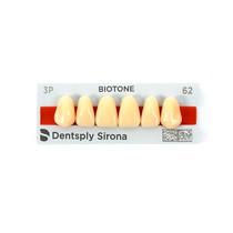 Dente Biotone Anterior Superior - Dentsply Sirona