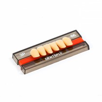 Dente Biotone Anterior Superior - Dentsply Sirona