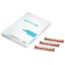 Dente Biotone Posterior Superior 32M 67 - Dentsply Sirona