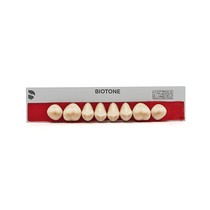 Dente Biotone Posterior Superior - Dentsply Sirona
