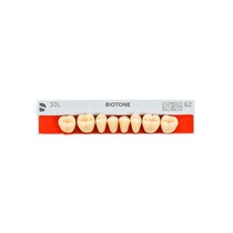 Dente Biotone Posterior/Inferior 30L 62 - Dentsply Sirona