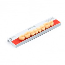 Dente Biotone Posterior Superior - Dentsply Sirona