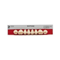 Dente Biotone Posterior Superior - Dentsply Sirona