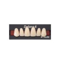 Dente Delara Anterior Superior D2 O47 6unid - Kulzer