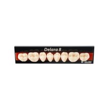 Dente Delara Posterior Inferior B2 34L 8unid - Kulzer