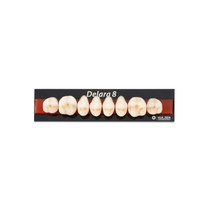 Dente Delara Posterior Superior D3 36U 8unid - Kulzer