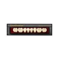 Dente Gnathostar A-D Posterior Inferior - Ivoclar