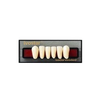 Dente Ivostar A-D I12 BL1 Inf Ant 6Unid. - Ivoclar
