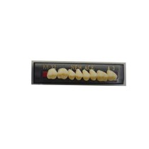 Dente New Ace Posterior Superior Yamahachi - Kota