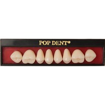 Dente Popdent Posterior Inferior 32M 67 - VIPI