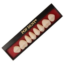 Dente Popdent Posterior Superior 30L 67 - VIPI