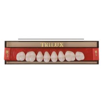 Dente Trilux N Posterior Inferior M4I Bl2 8Unid. - Vipi