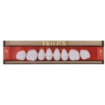 Dente Trilux N Posterior Inferior M3I Bl3 8Unid. - Vipi