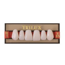 Dente Trilux N Posterior Superior M5S Bl2 8Unid. - Vipi