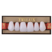 Dente Trilux N Posterior Inferior M6-I Bl3 8Unid. - Vipi