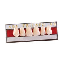 Dente Triunfo Anterior Superior 3D 62 - Triunfo