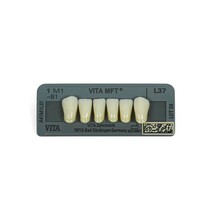 Dente Vita MFT Anterior Inferior - Wilcos