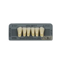 Dente Vita MFT Anterior Inferior - Wilcos
