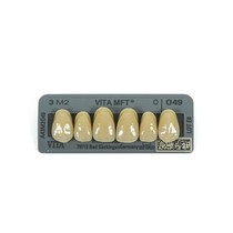 Dente Vita MFT Anterior Superior - Wilcos