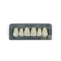 Dente Vita MFT Anterior Superior - Wilcos