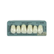 Dente Vita MFT Anterior Superior - Wilcos