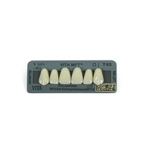 Dente Vita MFT Anterior Superior - Wilcos
