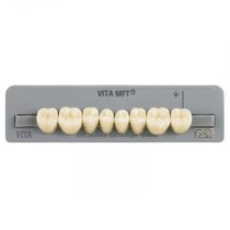 Dente Vita MFT Posterior Inferior PL31 C3 - Wilcos