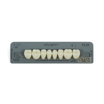 Dente Vita MFT Posterior Inferior - Wilcos