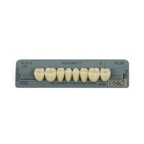 Dente Vita MFT Posterior Inferior - Wilcos