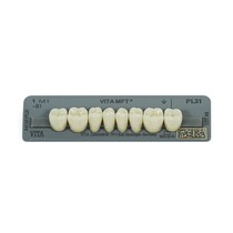 Dente Vita MFT Posterior Inferior - Wilcos