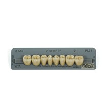 Dente Vita MFT Posterior Inferior - Wilcos