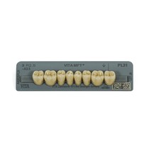 Dente Vita MFT Posterior Inferior - Wilcos