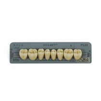 Dente Vita MFT Posterior Inferior - Wilcos