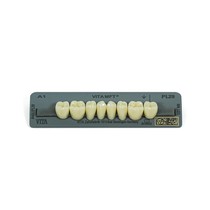 Dente Vita MFT Posterior Inferior - Wilcos