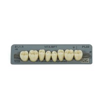 Dente Vita MFT Posterior Inferior - Wilcos
