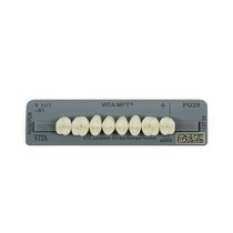 Dente Vita MFT Posterior Superior - Wilcos