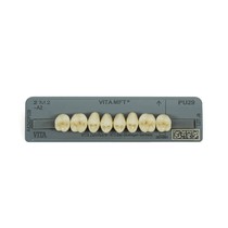 Dente Vita MFT Posterior Superior - Wilcos