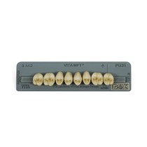 Dente Vita MFT Posterior Superior - Wilcos
