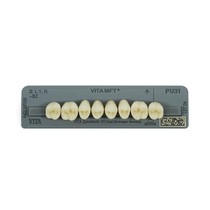 Dente Vita MFT Posterior Superior - Wilcos