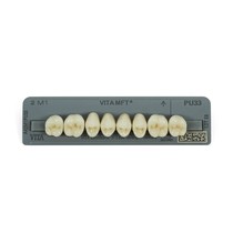 Dente Vita MFT Posterior Superior - Wilcos