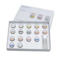 Kit Cerâmica IPS E.Max Ceram Art Essence & Shade Assortment - Ivoclar